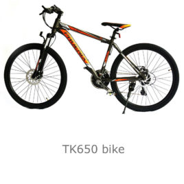 TK650 bike