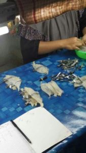 bird nests cleaning 7