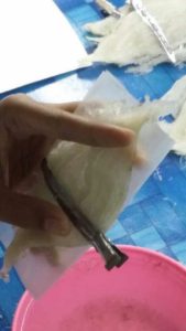 bird nests cleaning 8