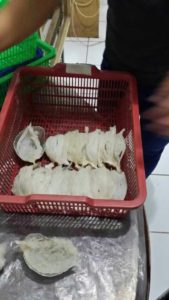 bird nests cleaning 9