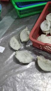 bird nests cleaning 12