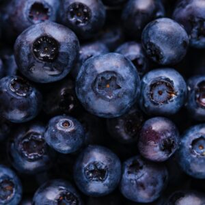 Dried Blueberries