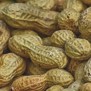 Groundnuts