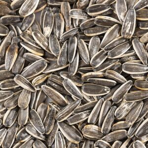 Sunflower Seeds