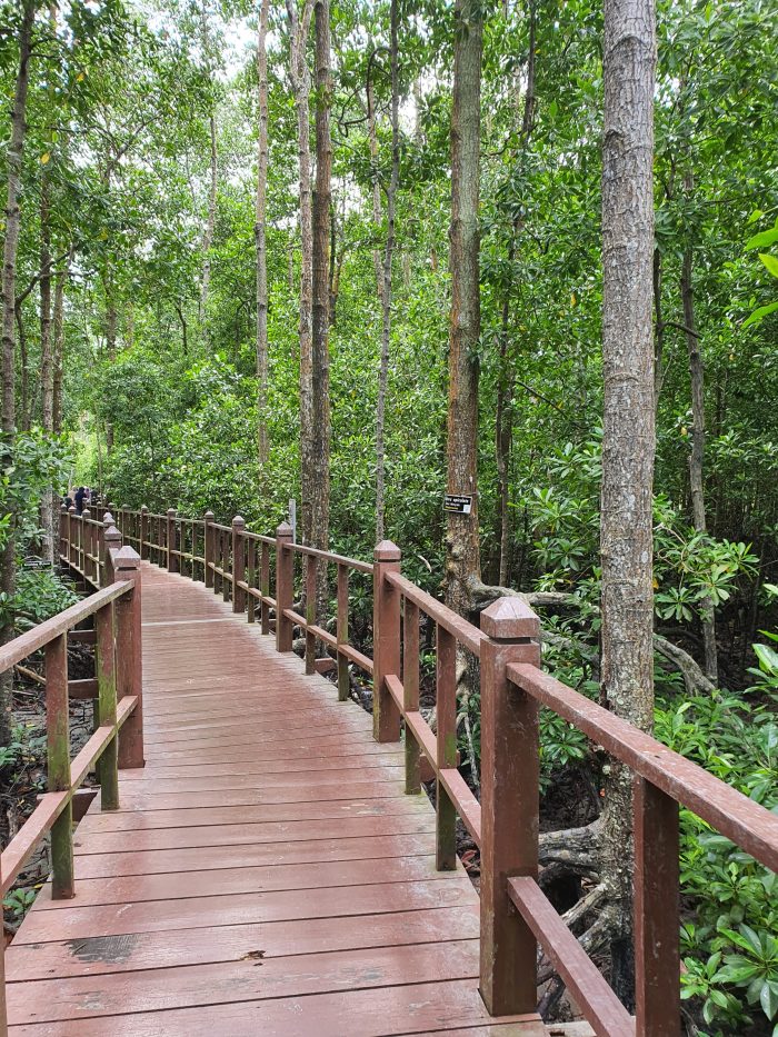 Ramsar Wetlands Mangrove