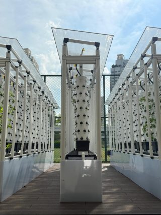 GREEN HOUSE (MARSILING SECONDARY SCHOOL)